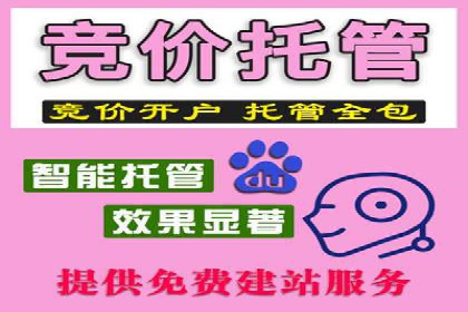 信息流广告公司案例集锦：成功案例剖析